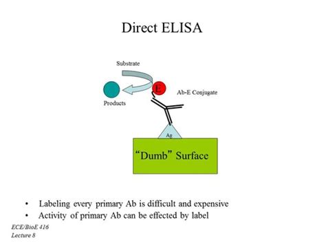 elisa test quizlet|eliza lab notes Quizlet.